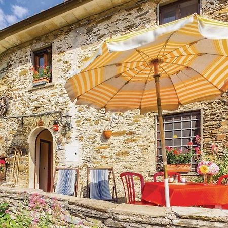 Casa Poggio Delle Farfalle Stazzema Εξωτερικό φωτογραφία