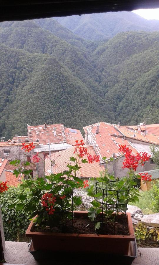 Casa Poggio Delle Farfalle Stazzema Εξωτερικό φωτογραφία